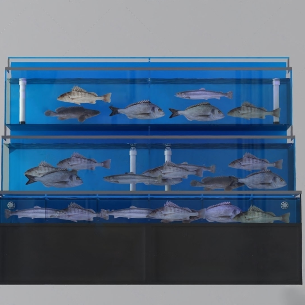 海鲜池3D模型